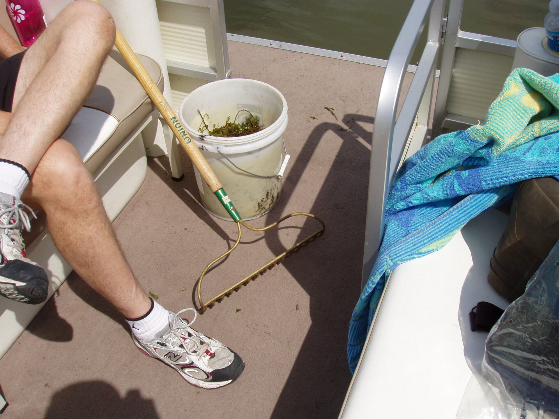 Removing Curly-Leaf pondweed