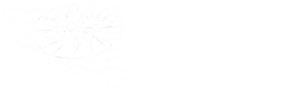 SC COLA logo reverse